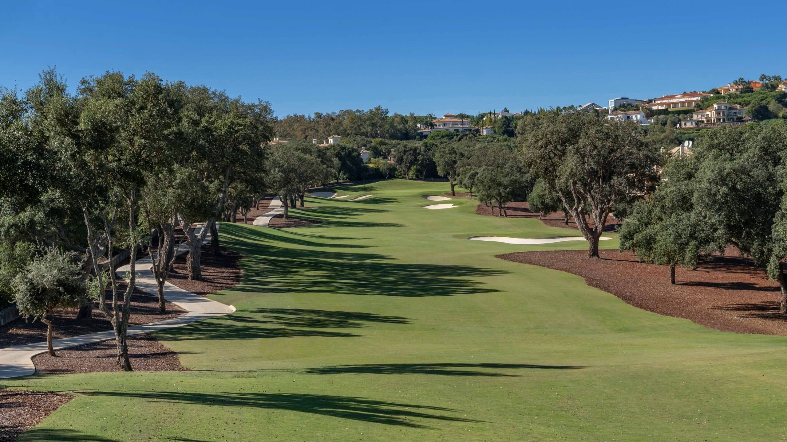 Tree-lined fairway at The San Roque Club, Spain