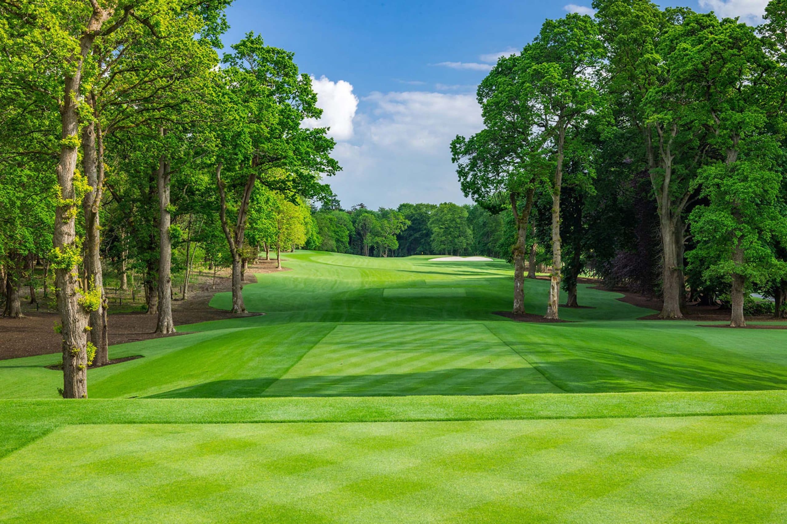 Tree-lined fairway at Adare Manor